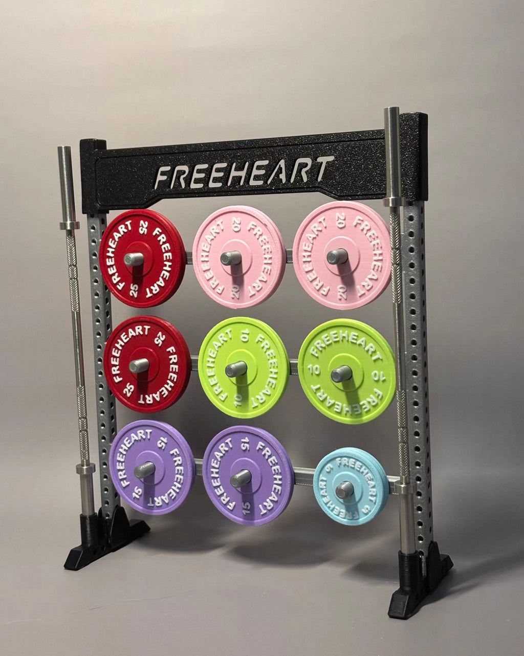 Mini Gym Plates Holding Rack